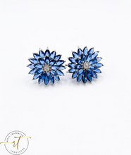 Load image into Gallery viewer, Skye - Beautiful Blue Stud Earrings
